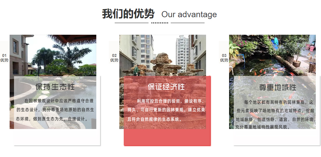 我們的優(yōu)勢(shì)