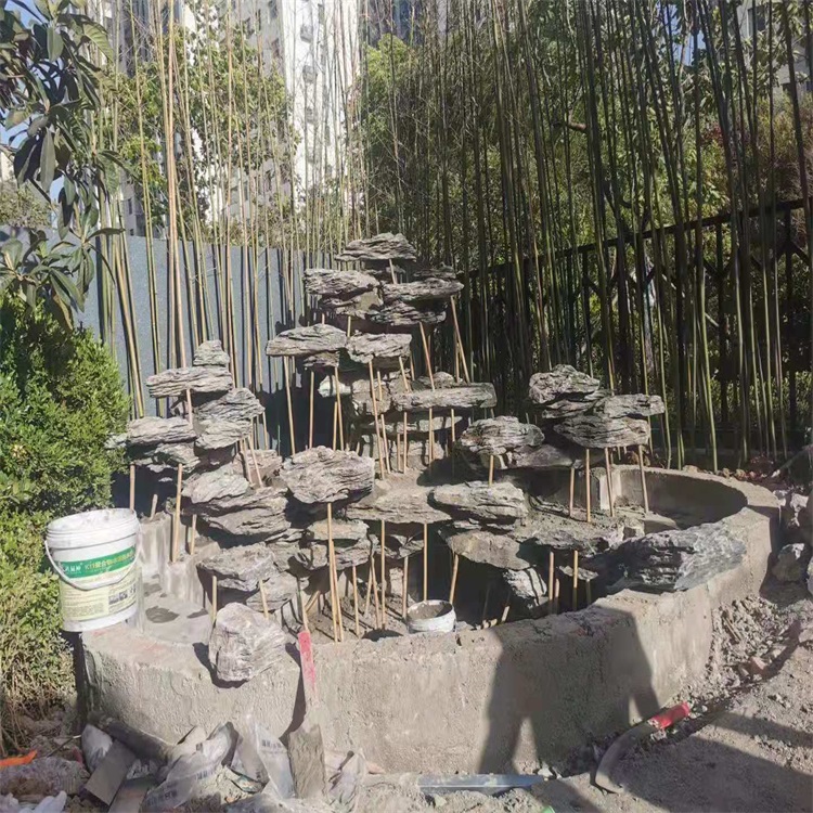 1711674029562158.jpg 微信圖片_20210611175853.jpg