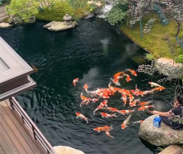 景觀魚池假山噴泉