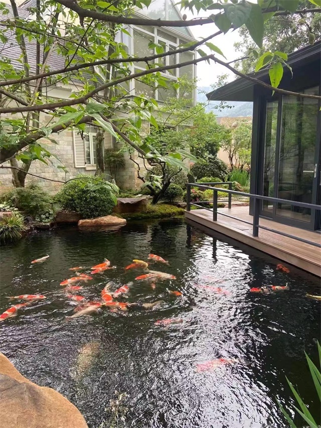 別墅假山魚池費(fèi)用