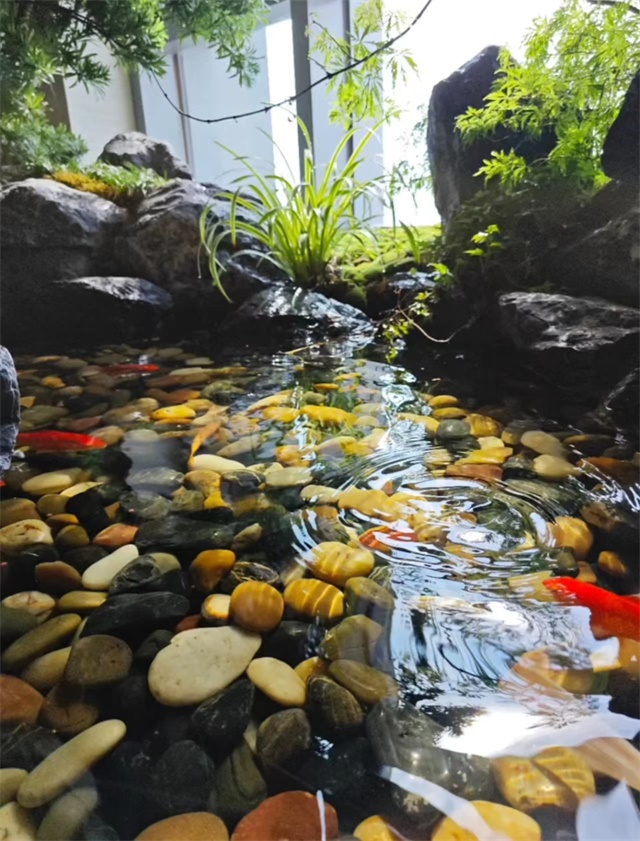 觀賞魚池設(shè)計